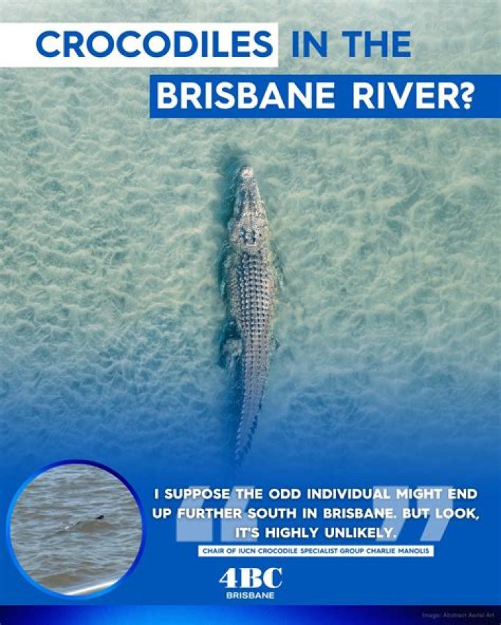 Are there crocodiles in the Brisbane River?