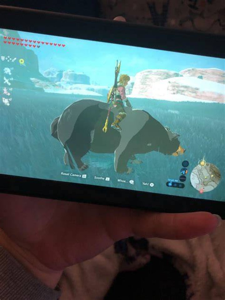 Can you register bears in BotW?