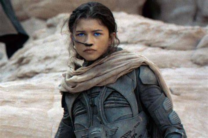 How much did Zendaya make Dune?