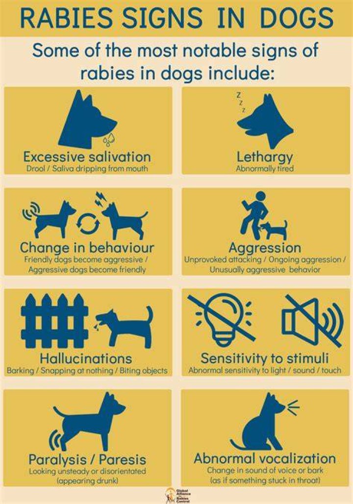 What are signs of rabies in dogs?