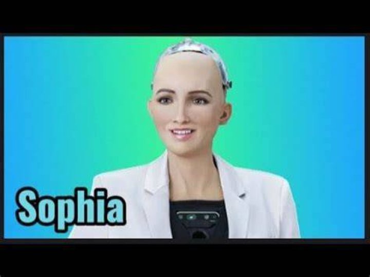 What did Sophia robot say?