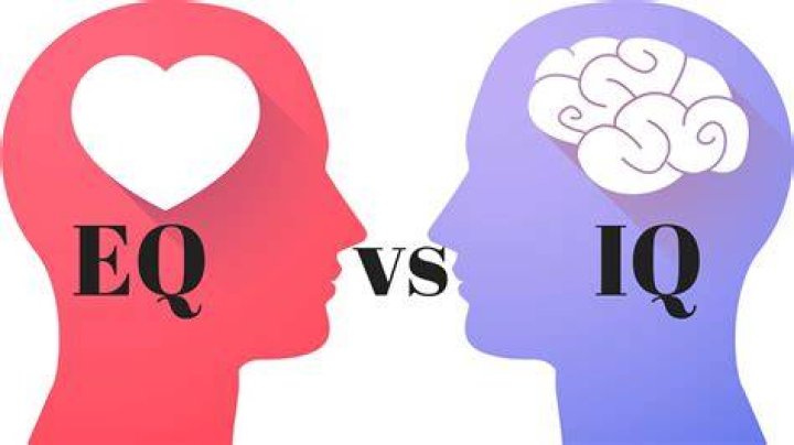 What is IQ and EQ?