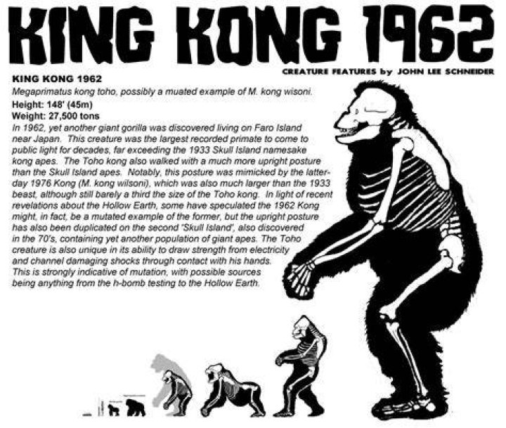 What is Kong's weight?