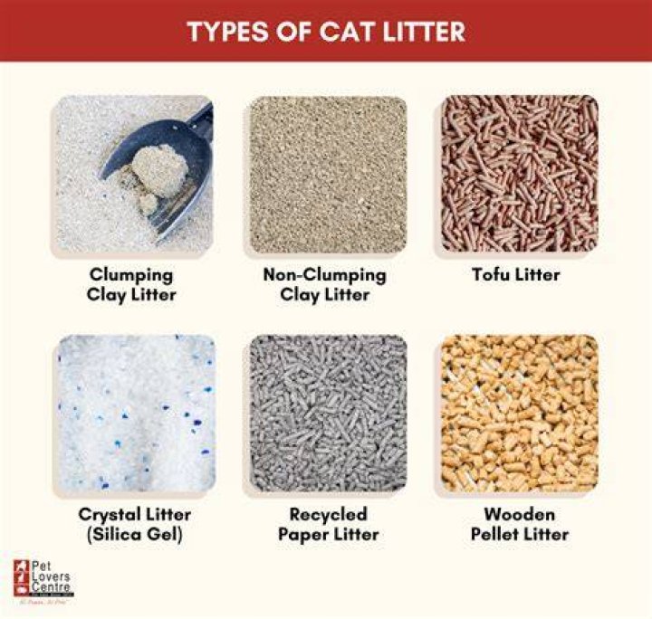 What type of cat litter is best for dehumidifier?