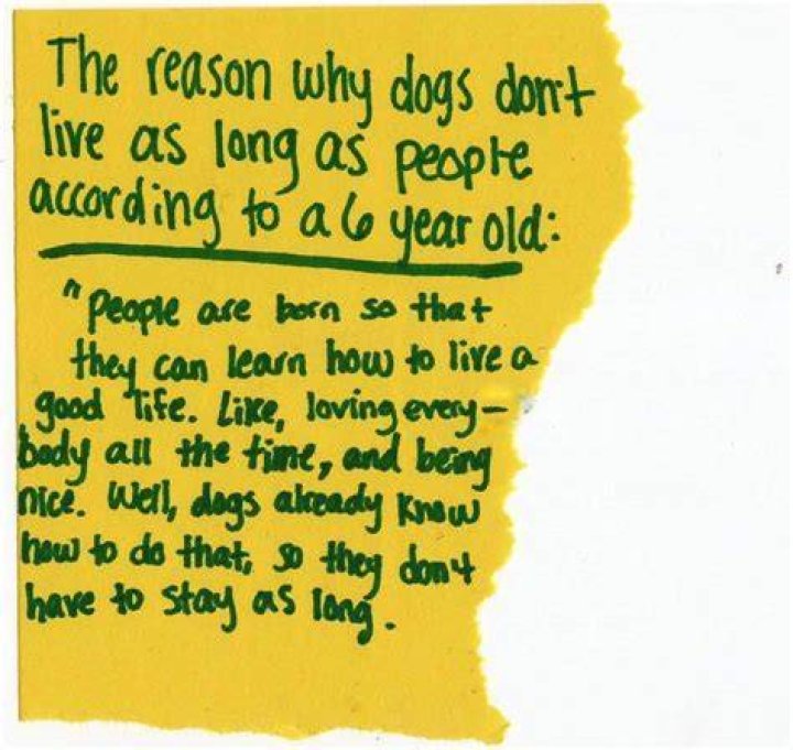 Why do dogs live short lives?