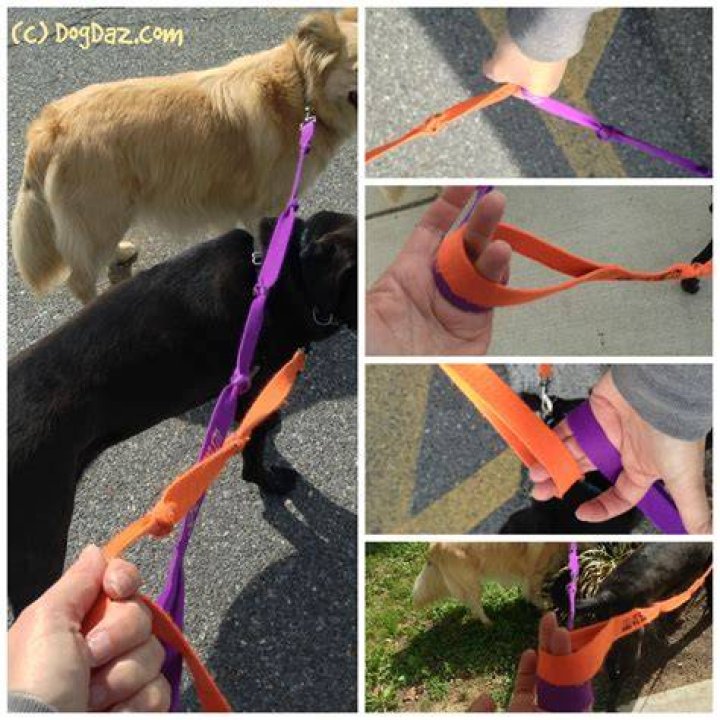 Why do people put knots on dog leashes?